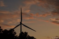 /album/photo-gallery-silhouette/a1-24-jpg1/